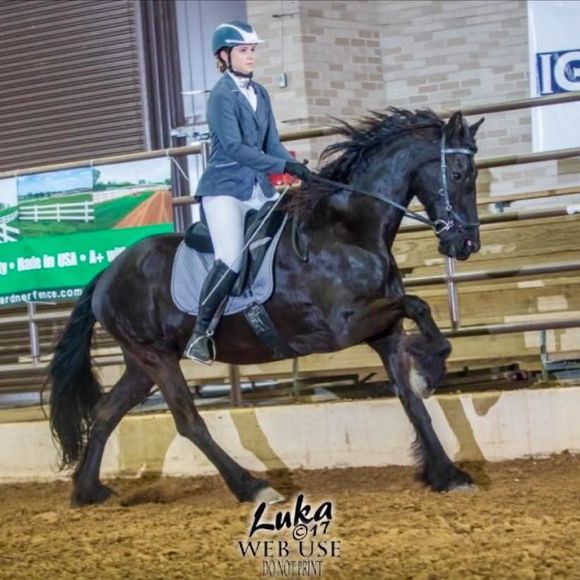 Meet your Posher, Caitlin - Picture 1 of 1